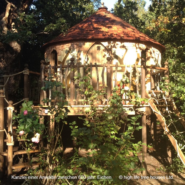 Kanzlei einer Anwältin zwischen 600 jährigen Eichen / Foto: high life tree houses Ltd. Kanzlei einer Anwaeltin im Baumhaus