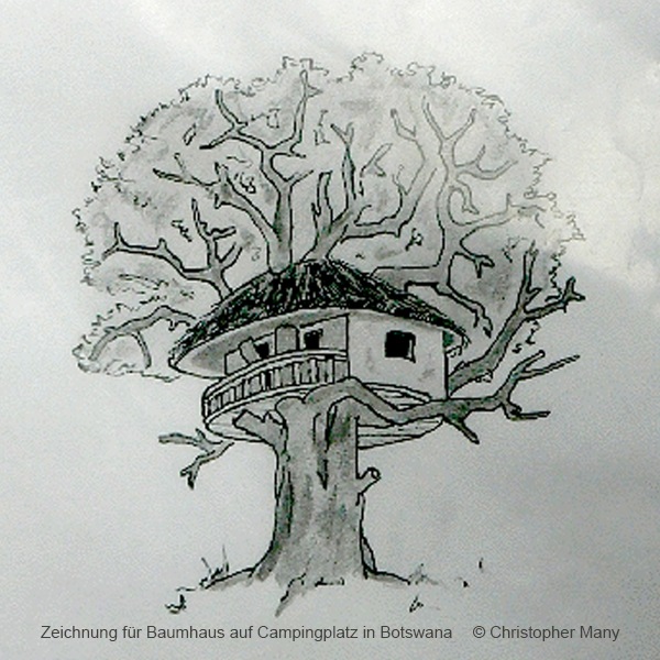 Planung eines Baumhaus